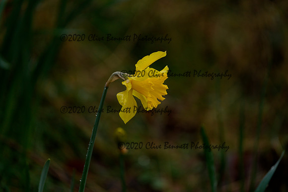 _CAB7620