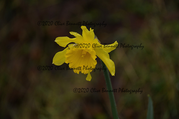 _CAB7622