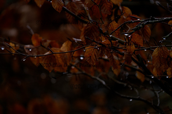 _CAB7607
