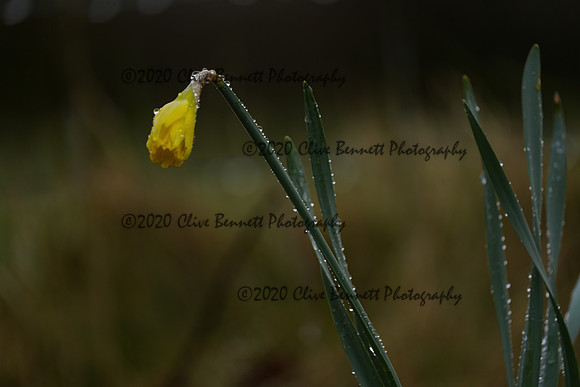 _CAB7612