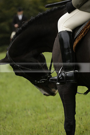 Devon & Somerset Stag Hounds meet at Hillhead Cross on Monday 14 October 2013. 2013.10.14 www.polopictures.co.uk
