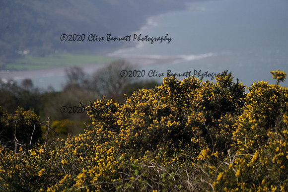 _CAB7904 (1)