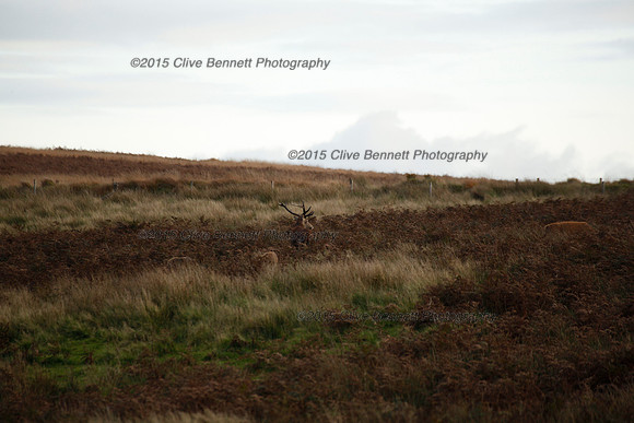 _CB_0106
