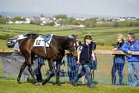 Race 5 The Jockey Club Open Maiden Race 2024.05.06