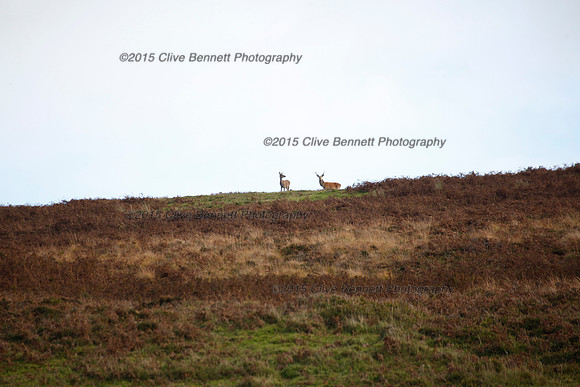 _CB_0090