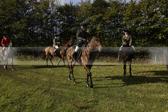 Devon & Somerset StagHounds meet at Five Cross Ways on Thursday 17 October 2013. 2013.10.17 www.polopictures.co.uk