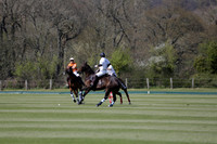 Cowdray Vikings v Witley Park Farm in a Jersey Lilies Polo match 2013.05.03