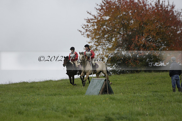Chiddingfold, Leconfield and Cowdray Hunt, Hunter Trials at Iping on Sunday 20 October 2013. 2013.10.20 www.polopictures.co.uk