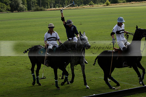 Pandas (white) v Home Farm (navy) in a Park House West Sussex Cup Polo match on Brooksfield at Cowdray Park Polo Club on Friday 30 August 2013. 2013.08.30 www.polopictures.co.uk
