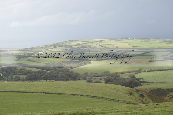 Devon & Somerset Staghounds meet at Larkbarrow Corner. North Devon. 2013.10.18 www.polopictures.co.uk