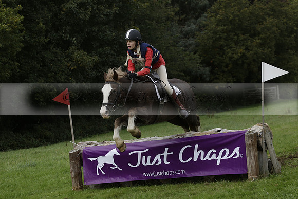 Chiddingfold, Leconfield and Cowdray Hunt, Hunter Trials at Iping on Sunday 20 October 2013. 2013.10.20 www.polopictures.co.uk