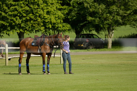Maiz Dulce v Ghost Chilli in the Easebourne Cup final Polo match 2013.06.09