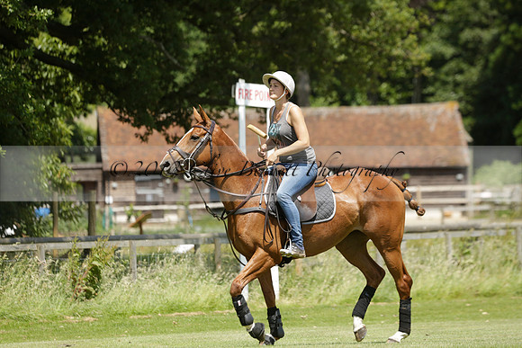 Maiz Dulce v Emlor in a Barrett Cup Polo match 2013.06.30