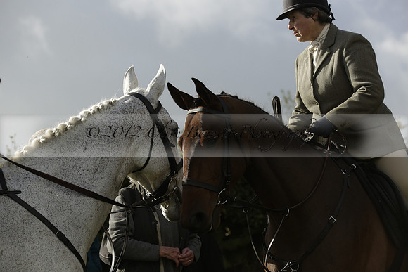 Devon & Somerset StagHounds meet at Five Cross Ways on Thursday 17 October 2013. 2013.10.17 www.polopictures.co.uk