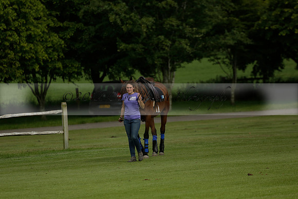 Maiz Dulce v Ghost Chilli in the Easebourne Cup final Polo match 2013.06.09