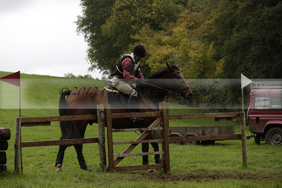 Chiddingfold, Leconfield and Cowdray Hunt, Hunter Trials at Iping on Sunday 20 October 2013. 2013.10.20 www.polopictures.co.uk