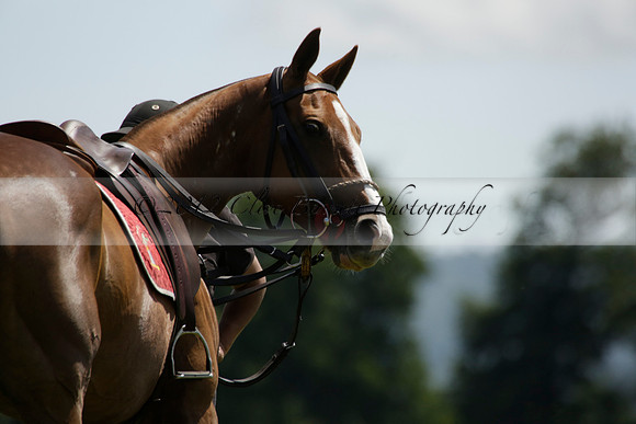 Maiz Dulce v Emlor in a Barrett Cup Polo match 2013.06.30