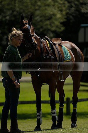 Maiz Dulce v Pluma Negra in a Jubilee 6 Goal Polo match 2013.05.27