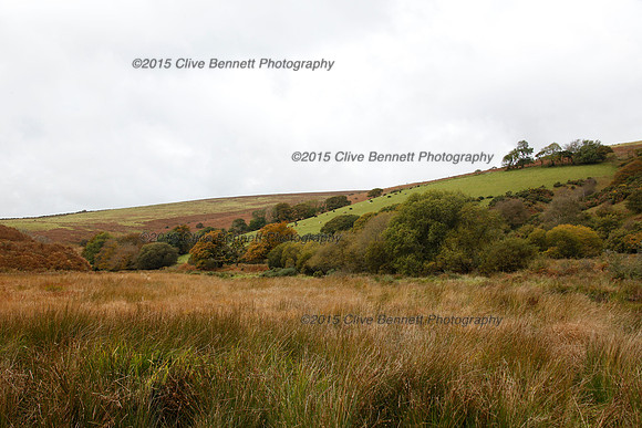 _CB_9946