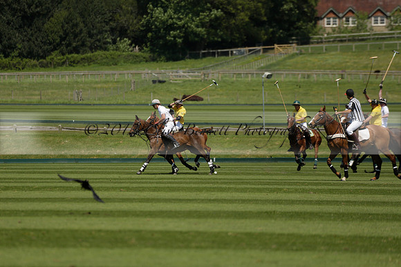 Maiz Dulce v Pluma Negra in a Jubilee 6 Goal Polo match 2013.05.27