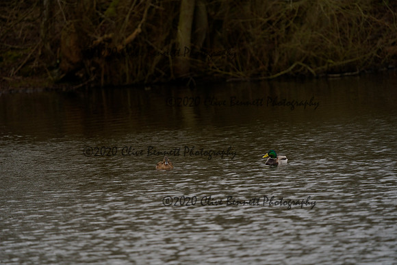 _CAB6716
