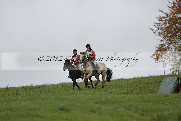 Chiddingfold, Leconfield and Cowdray Hunt, Hunter Trials at Iping on Sunday 20 October 2013. 2013.10.20 www.polopictures.co.uk