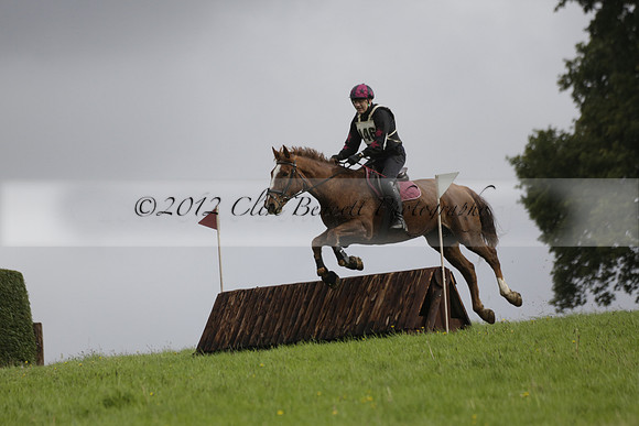 Chiddingfold, Leconfield and Cowdray Hunt, Hunter Trials at Iping on Sunday 20 October 2013. 2013.10.20 www.polopictures.co.uk