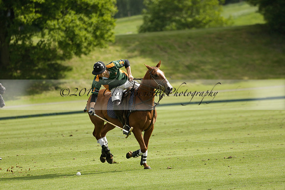 Maiz Dulce v Ghost Chilli in the Easebourne Cup final Polo match 2013.06.09
