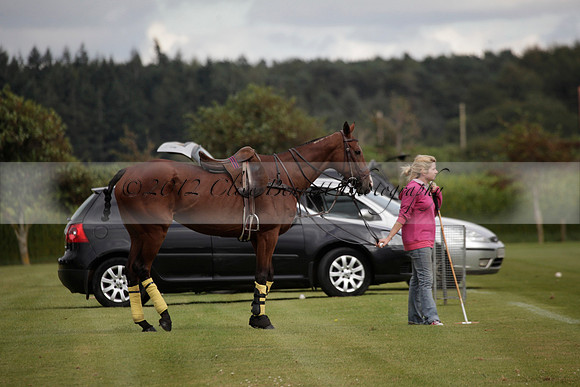 Maiz Dulce v Broadoak Farm in an Autumn Cup polo match played at Cowdray Park Polo Club on Wednesday 12 September 2012 on Ambersham 3.
