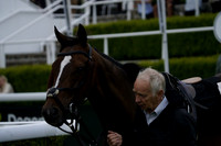 Race 6 The Grahame Carter Remberance Gallop Apprentice Handicap Stakes 2024.06.07