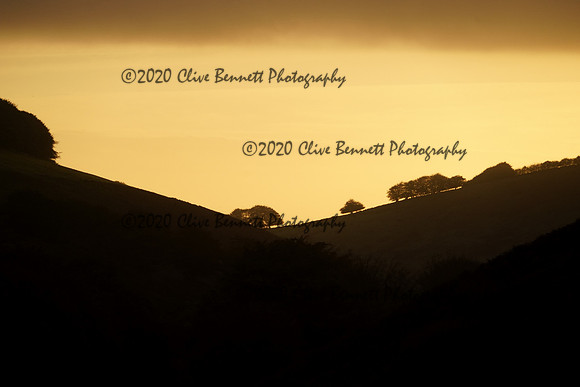 _CAB3014