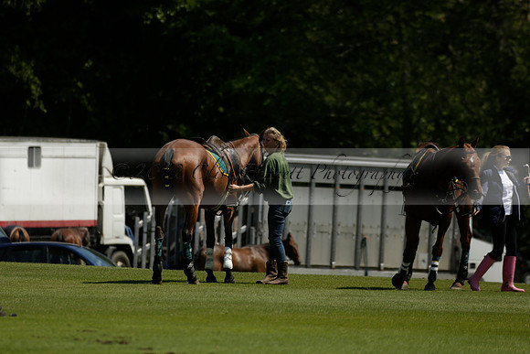 Maiz Dulce v Pluma Negra in a Jubilee 6 Goal Polo match 2013.05.27