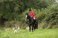 Devon & Somerset Stag Hounds meet at Liscombe on Saturday 12 October 2013 2013.10.12 www.polopictures.co.uk