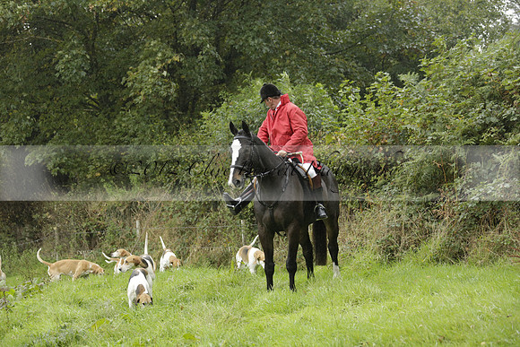 Devon & Somerset Stag Hounds meet at Liscombe on Saturday 12 October 2013 2013.10.12 www.polopictures.co.uk