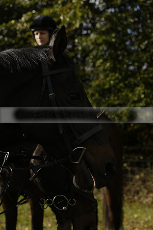 Devon & Somerset StagHounds meet at Five Cross Ways on Thursday 17 October 2013. 2013.10.17 www.polopictures.co.uk