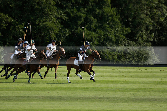 Pandas (white) v Home Farm (navy) in a Park House West Sussex Cup Polo match on Brooksfield at Cowdray Park Polo Club on Friday 30 August 2013. 2013.08.30 www.polopictures.co.uk