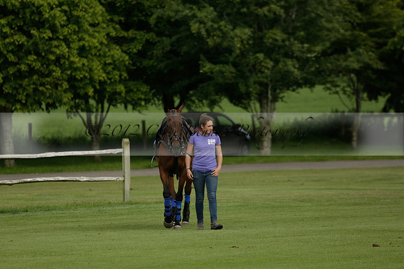 Maiz Dulce v Ghost Chilli in the Easebourne Cup final Polo match 2013.06.09