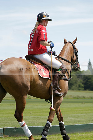 Maiz Dulce v Emlor in a Barrett Cup Polo match 2013.06.30
