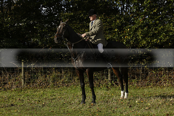 Devon & Somerset StagHounds meet at Five Cross Ways on Thursday 17 October 2013. 2013.10.17 www.polopictures.co.uk