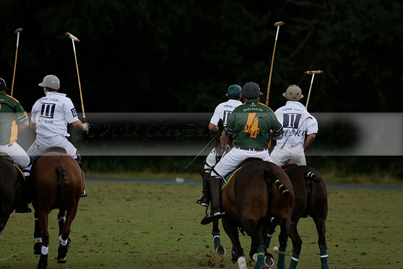 The Blue Jackets Cup polo match played between Maize Dulce (green) vs Home Farm (white) At the New Forest Polo Club on Sunday 18 August 2013