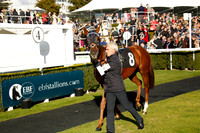 Race 4 The Happy Birthday Tony Pannett Stakes 2016.10.09