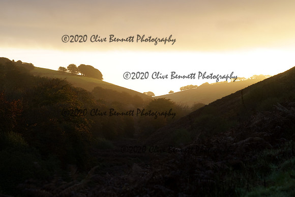 _CAB2976