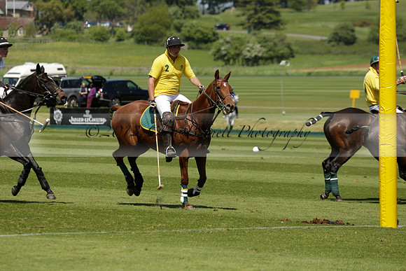 Maiz Dulce v Pluma Negra in a Jubilee 6 Goal Polo match 2013.05.27