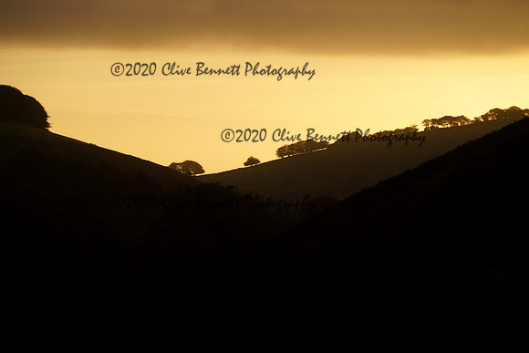 _CAB3019