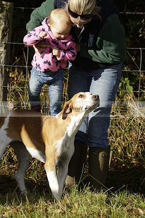 Devon & Somerset StagHounds meet at Five Cross Ways on Thursday 17 October 2013. 2013.10.17 www.polopictures.co.uk
