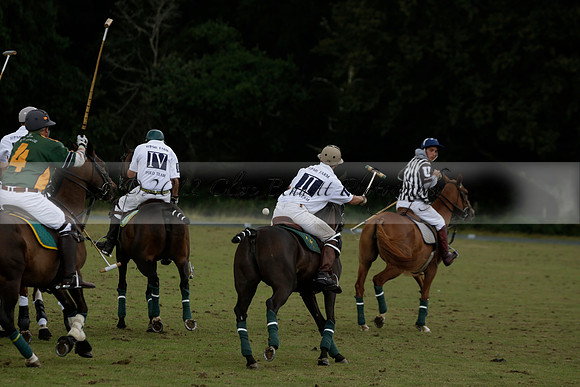 The Blue Jackets Cup polo match played between Maize Dulce (green) vs Home Farm (white) At the New Forest Polo Club on Sunday 18 August 2013