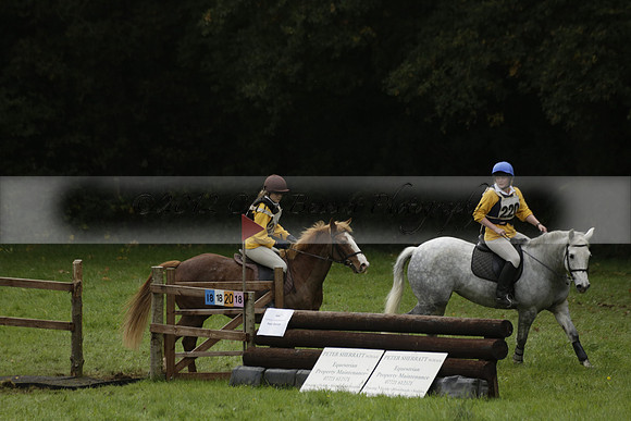 Chiddingfold, Leconfield and Cowdray Hunt, Hunter Trials at Iping on Sunday 20 October 2013. 2013.10.20 www.polopictures.co.uk