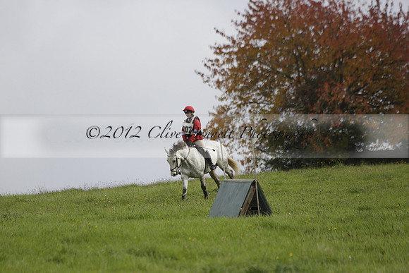 Chiddingfold, Leconfield and Cowdray Hunt, Hunter Trials at Iping on Sunday 20 October 2013. 2013.10.20 www.polopictures.co.uk