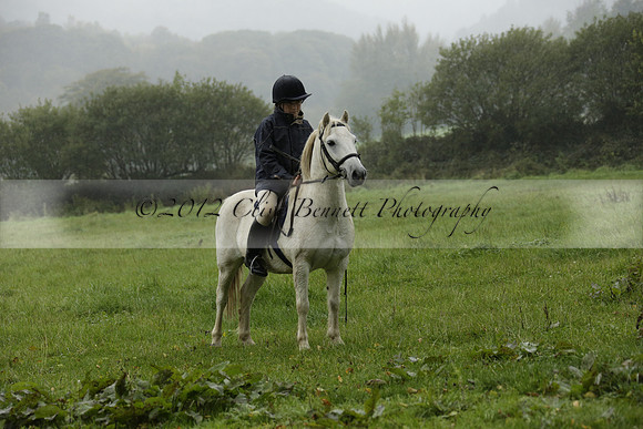 Devon & Somerset Stag Hounds meet at Liscombe on Saturday 12 October 2013 2013.10.12 www.polopictures.co.uk