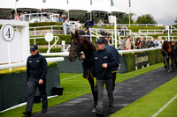 Race 2 The Lucky Leap/EBF Novice Stakes 2019.06.07